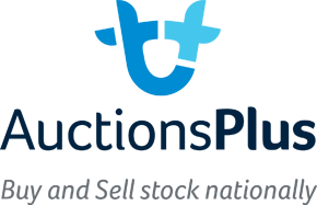 Auctions-Plus-Logo-Stacked